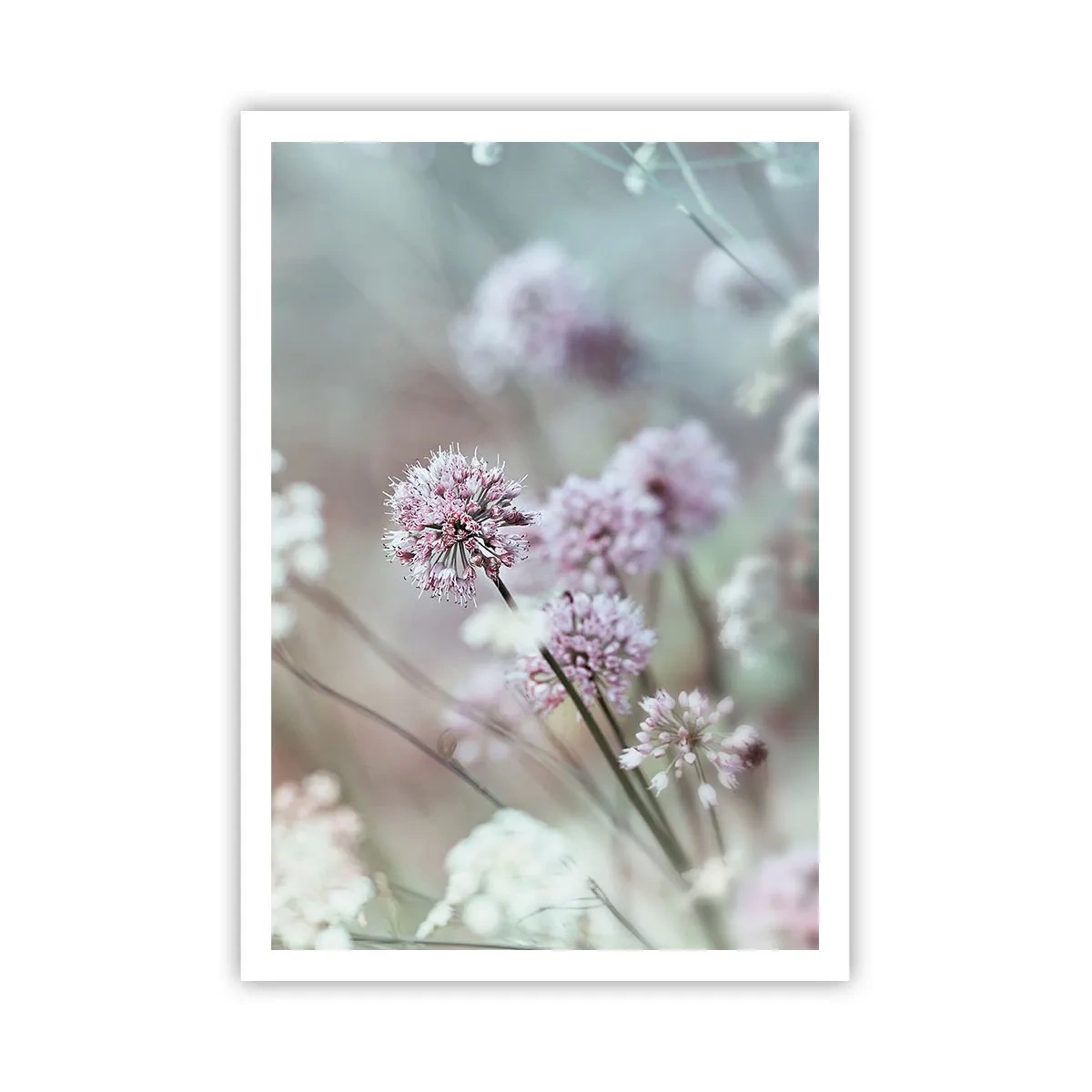 Poster - Le dolci filigrane delle erbe - 70x100 cm