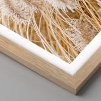 Rovere chiaro
