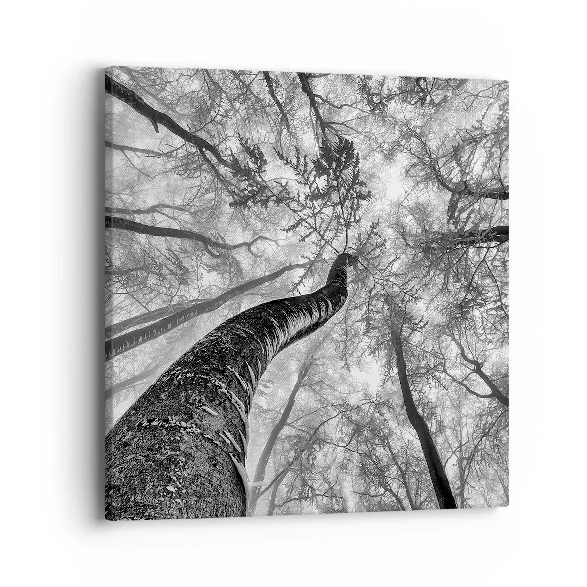 Quadro su tela - Stampe su Tela - La corsa verso la luce - 40x40 cm