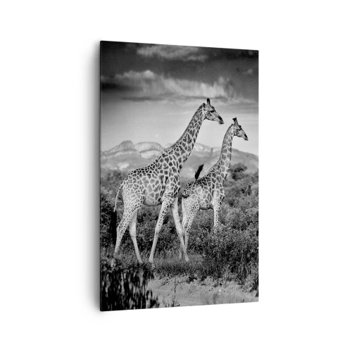 Quadro su tela - Stampe su Tela - Sagome in bianco e nero di due giraffe nella savana - 80x120cm - Alta classe in Africa - Decorazione murale moderna per soggiorno e camera da letto ARTTOR