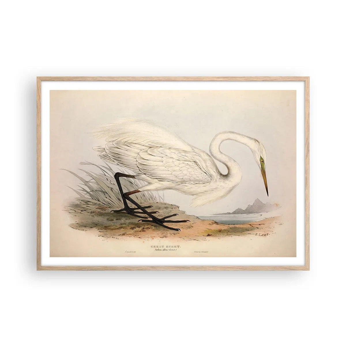 Poster in cornice rovere chiaro - La signora nel canneto - 100x70 cm