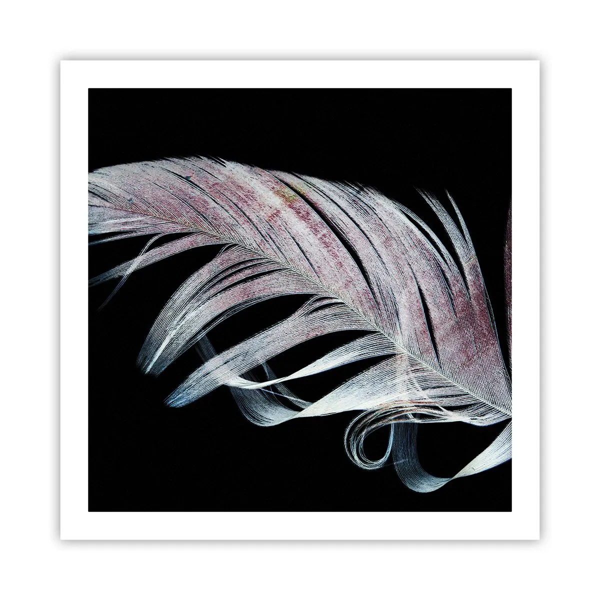 Poster - Pensa al tocco - 60x60 cm