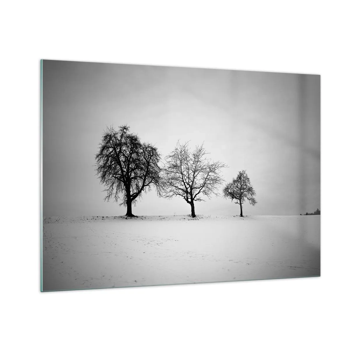 Quadro su vetro - Tre alberi solitari in una zona innevata - 100x70cm - Cosa sognano? - Decorazione murale moderna per soggiorno e camera da letto ARTTOR