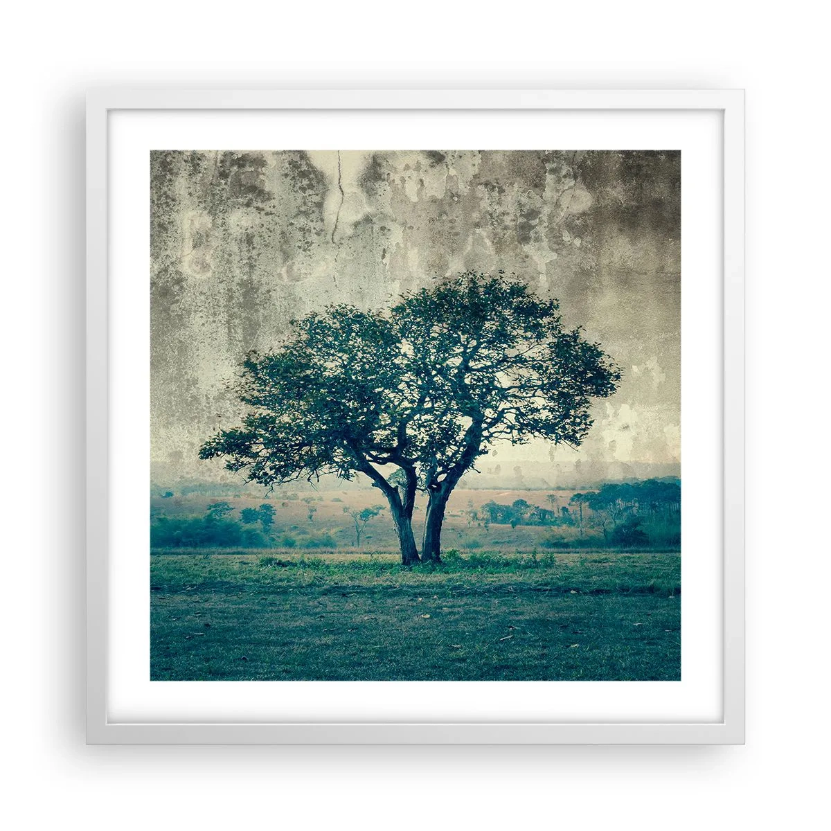 Poster in cornice bianca - Un melo su un prato blu? - 50x50 cm