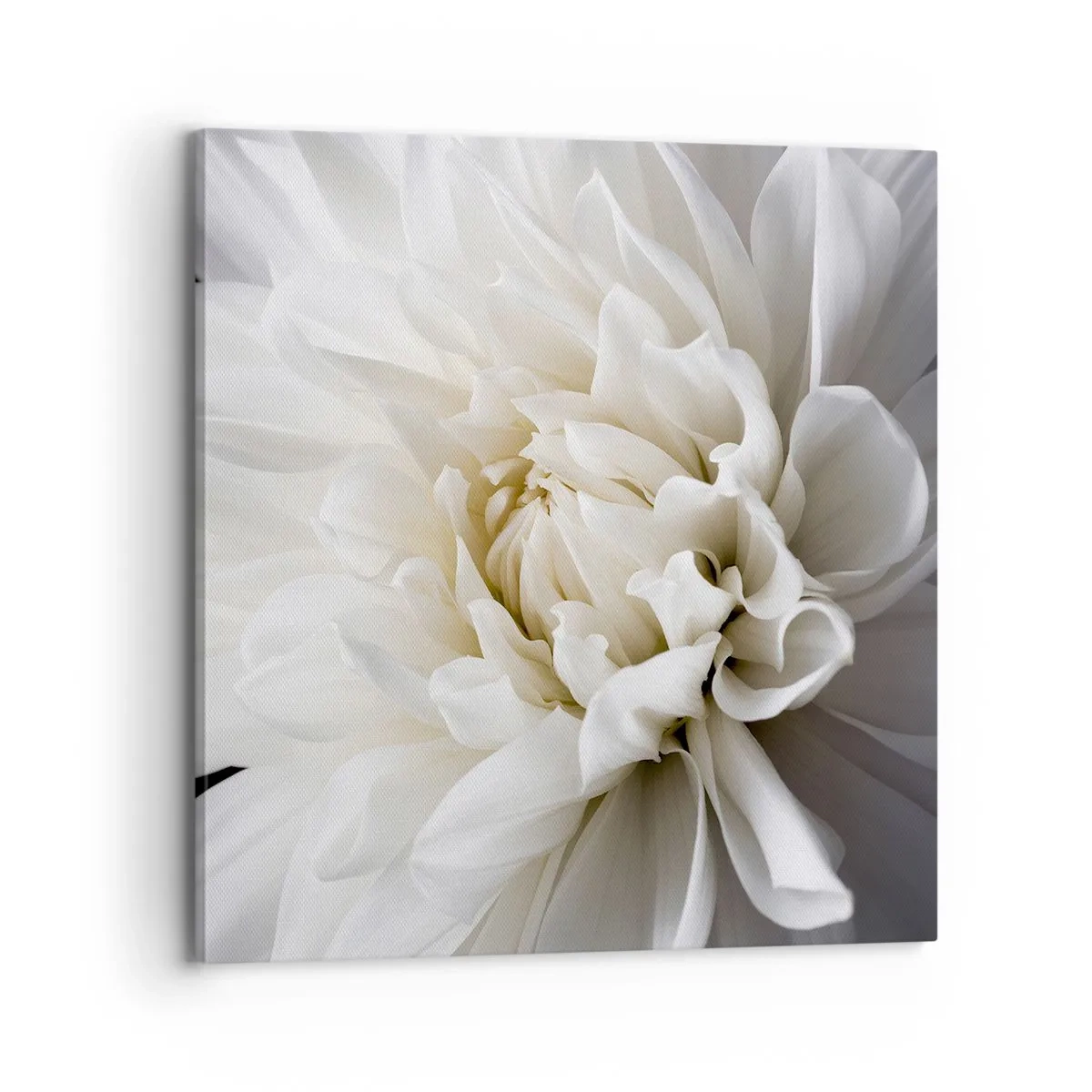 Quadro su tela - Stampe su Tela - Il mattino della sposa - 70x70 cm