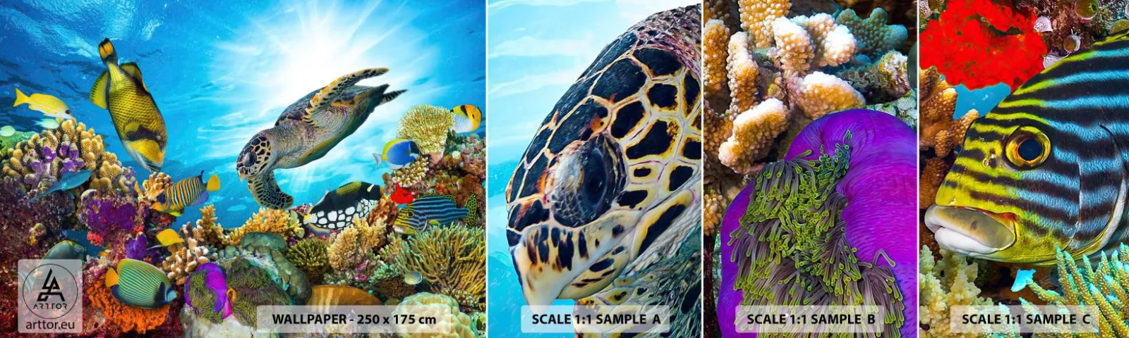 Campione di Fotomurale Adesivo Deluxe Sticker - Passeggiata corallina - barriera corallina, Mare, Mondo sott'acqua - 100x30 cm