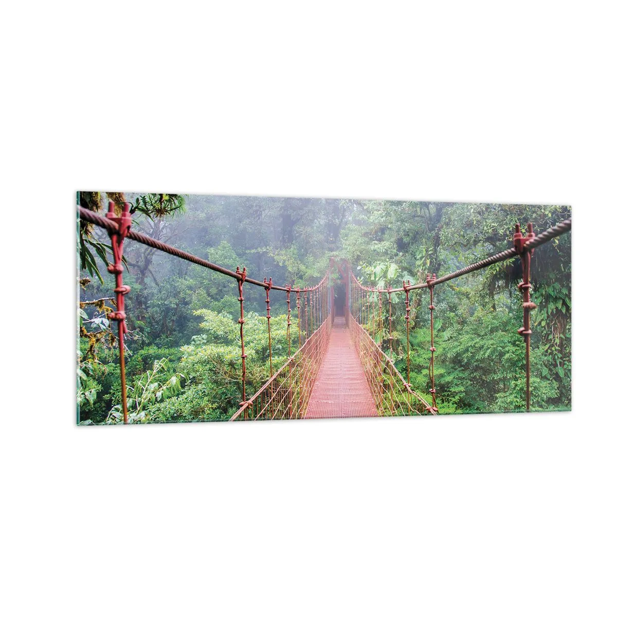 Quadro su vetro - Sospeso sopra gli alberi - 100x40 cm