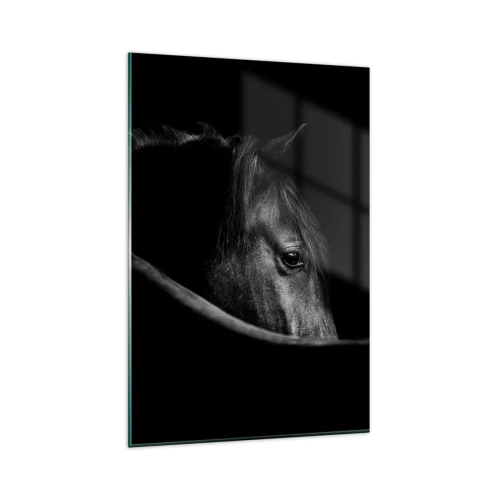 Quadro su vetro - Ritratto in bianco e nero di un cavallo con un sottile gioco di luci e ombre su uno sfondo scuro. - 80x120cm - Il principe nero - Decorazione murale moderna per soggiorno e camera da letto ARTTOR