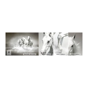 Campione Di Fotomurale Standard Eco - Estasi bianca - Animali, Cavalli, Natura - 100x30 cm