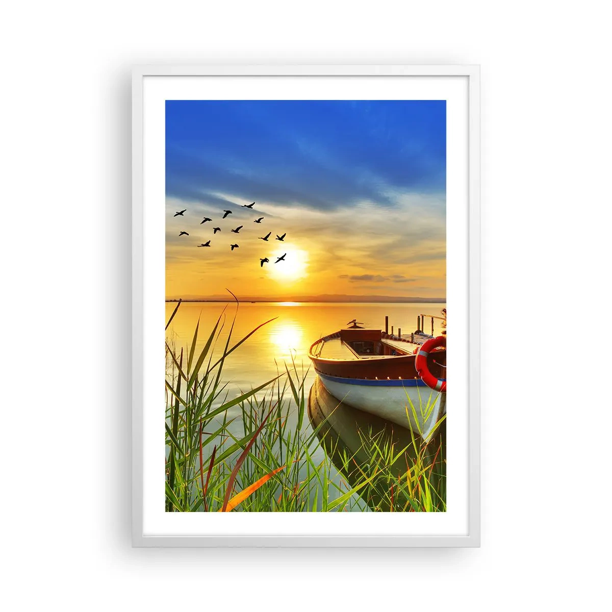 Poster in cornice bianca - I cormorano volano già via - 50x70 cm