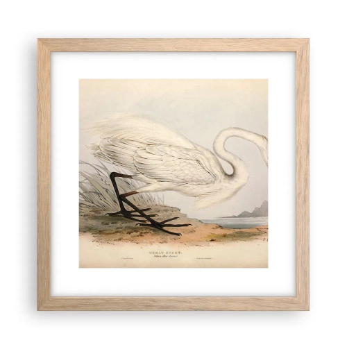 Poster in cornice rovere chiaro - La signora nel canneto - 30x30 cm