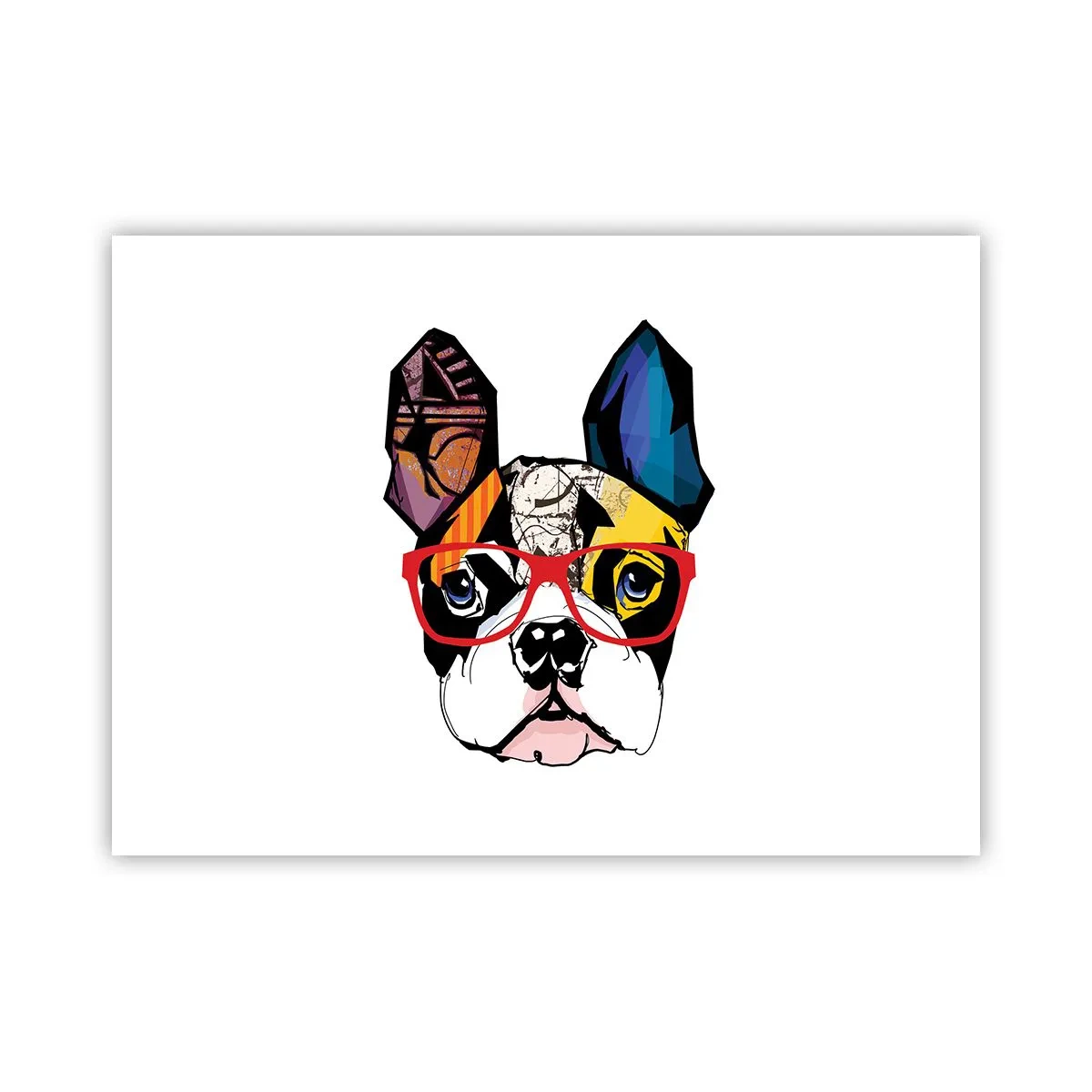 Poster - Intellettuale - 70x50 cm