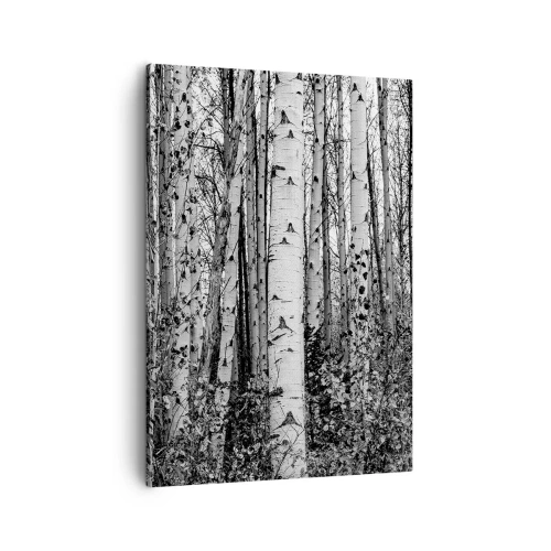 Quadro su tela - Stampe su Tela - Betulle bianche e nere nella foresta - 50x70cm - Colonnato di betulle - Decorazione murale moderna per soggiorno e camera da letto ARTTOR