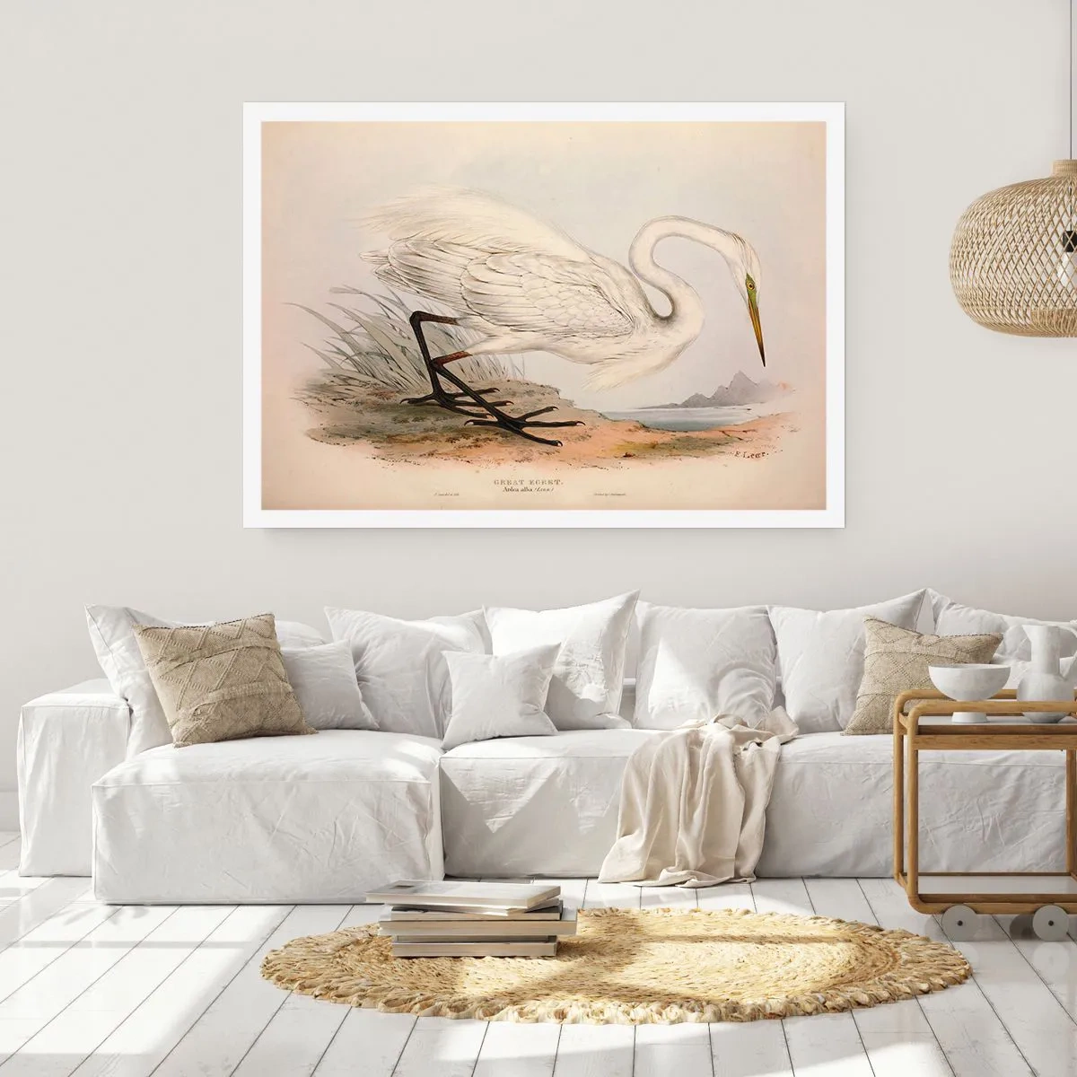 Poster - La signora nel canneto - 70x50 cm