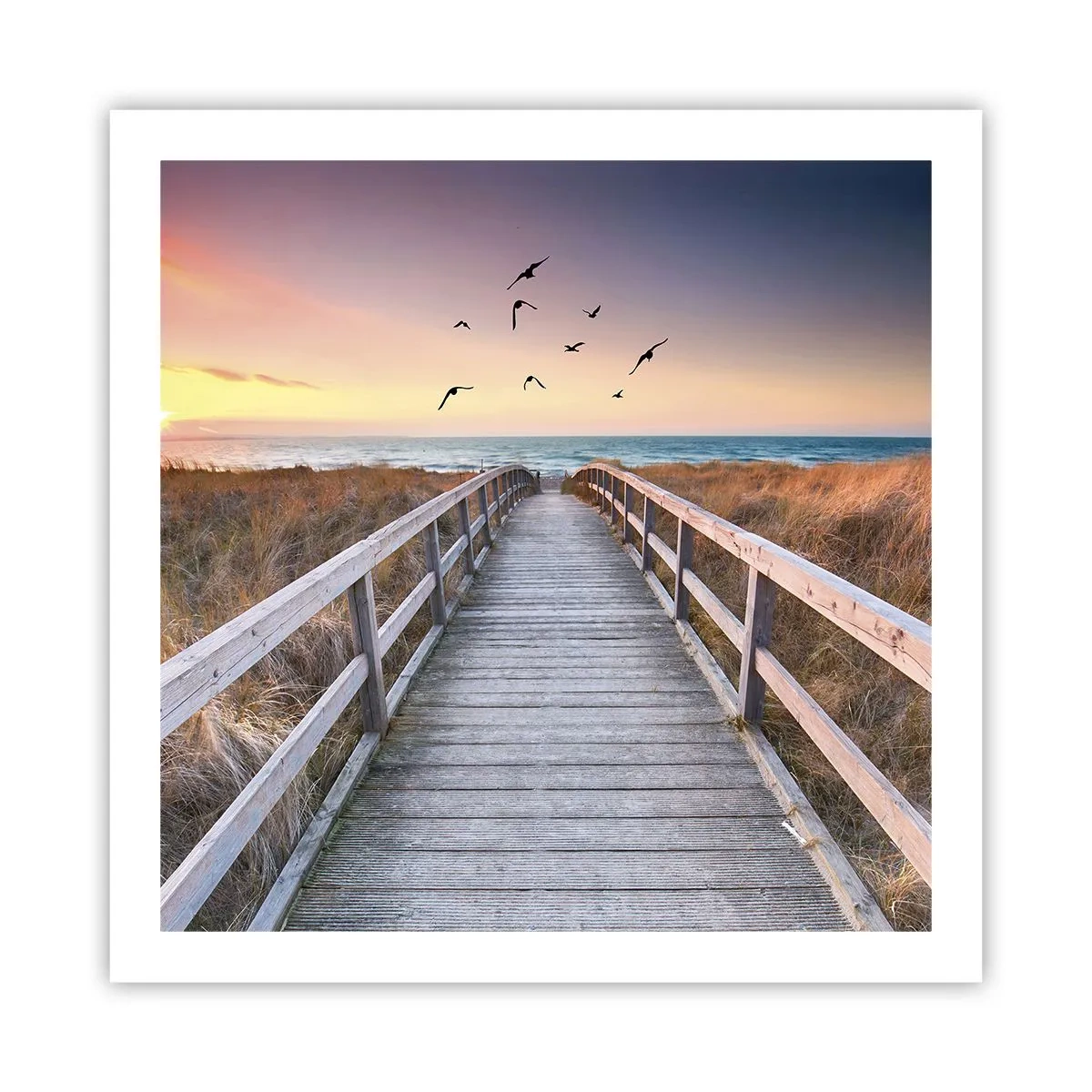 Poster - Spazio per volare - 60x60 cm