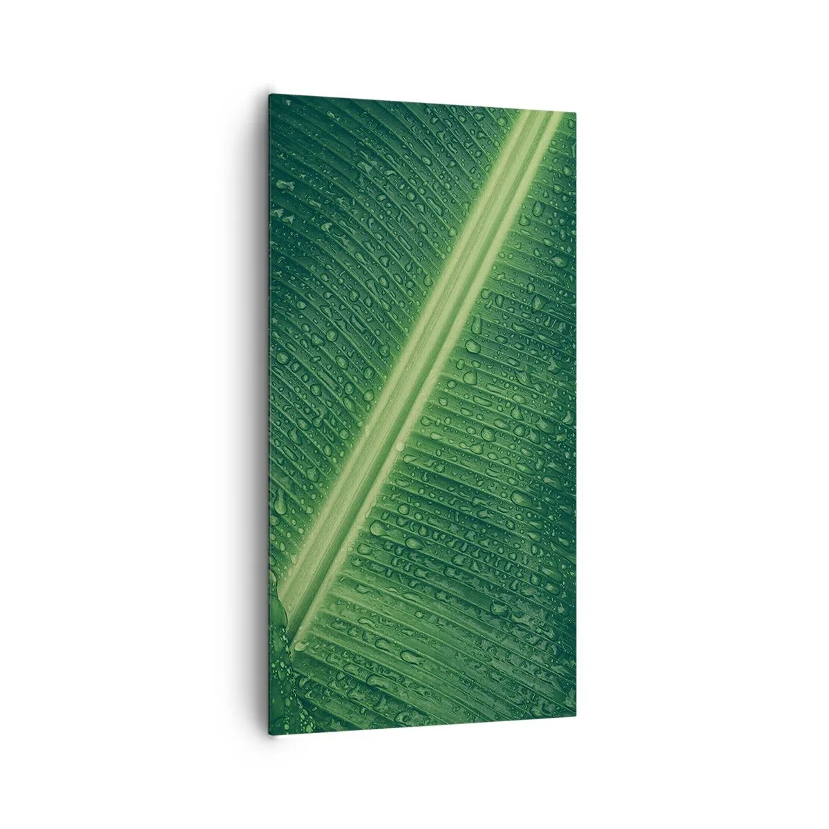 Quadro su tela - Stampe su Tela - La struttura del verde - 65x120 cm