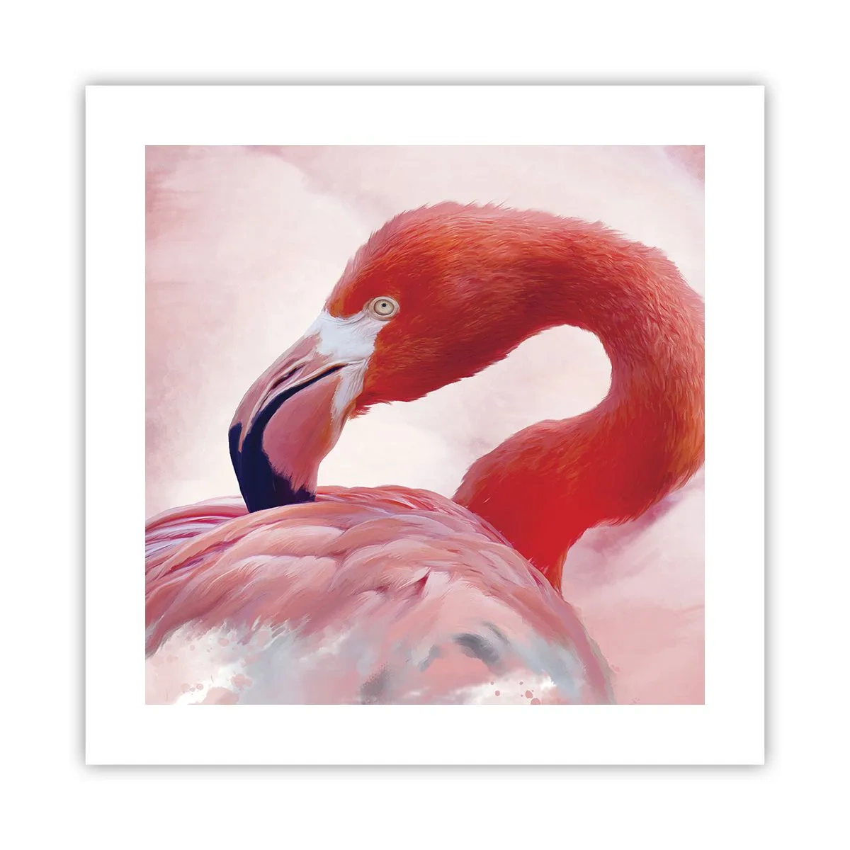 Poster - Bellezza alata - 40x40 cm