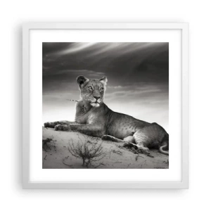 Poster in cornice bianca - Il riposo della regina del deserto - 40x40 cm