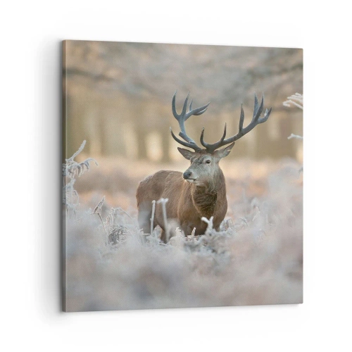 Quadro su tela - Stampe su Tela - Fresco mattino - 60x60 cm