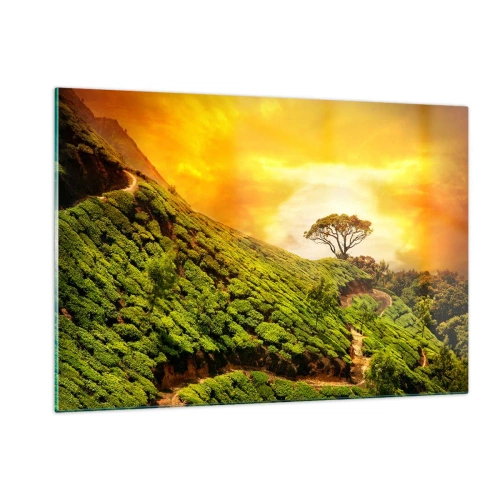 Quadro su vetro - Colline verdi con un albero solitario al tramonto - 120x80cm - Sentiero tortuoso, pendio verde - Decorazione murale moderna per soggiorno e camera da letto ARTTOR