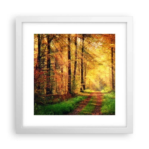 Poster in cornice bianca - Il silenzio d'oro del bosco - 30x30 cm