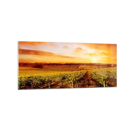 Quadro su vetro - Vigneto al tramonto con toni caldi del cielo - 120x50cm - Profumo di frutta con una nota di sole - Decorazione murale moderna per soggiorno e camera da letto ARTTOR