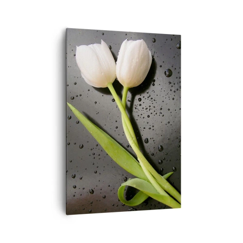 Quadro su tela - Stampe su Tela - Tulipani bianchi su sfondo nero con gocce d'acqua - 70x100cm - Intreccio primaverile - Decorazione murale moderna per soggiorno e camera da letto ARTTOR