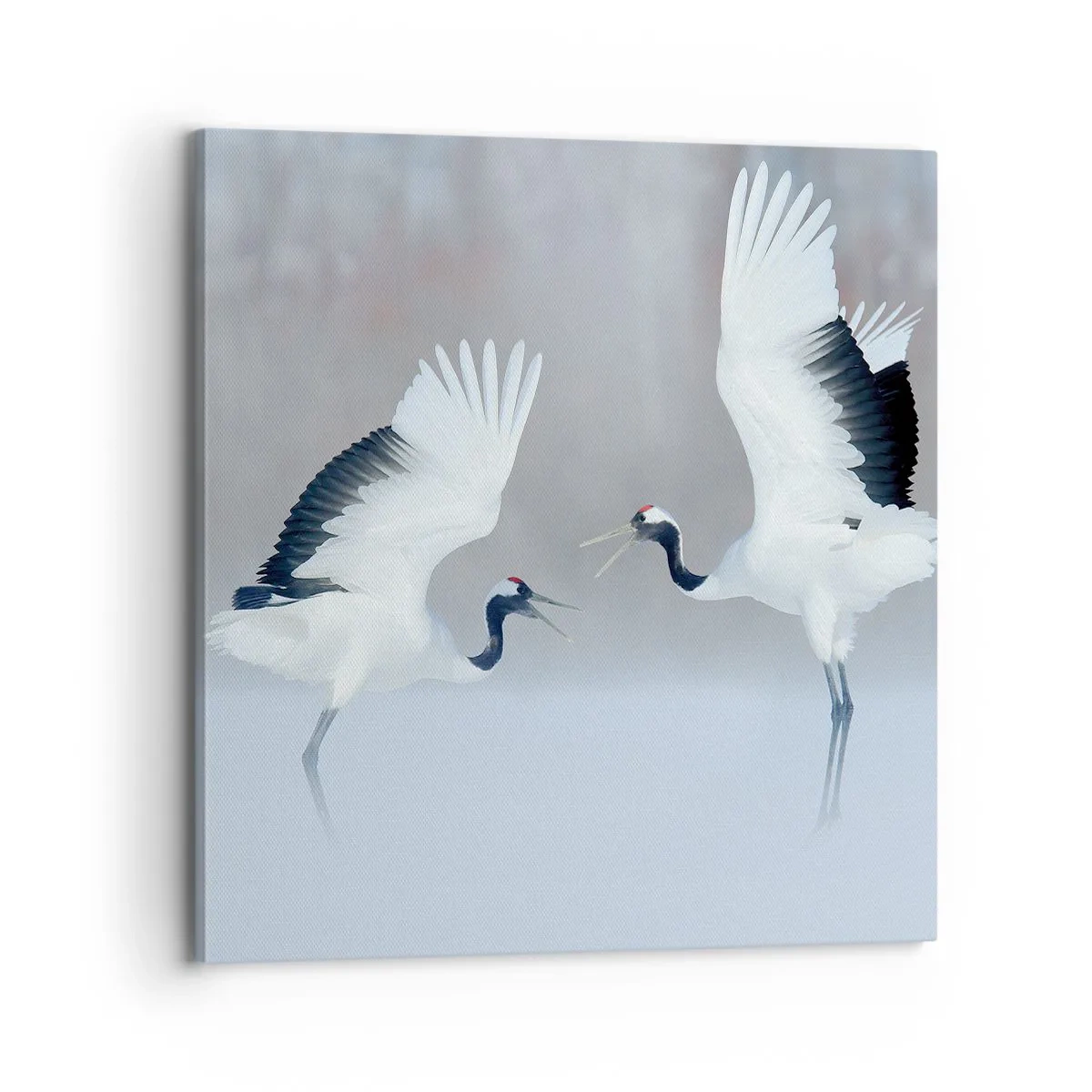 Quadro su tela - Stampe su Tela - Danza nella nebbia - 70x70 cm