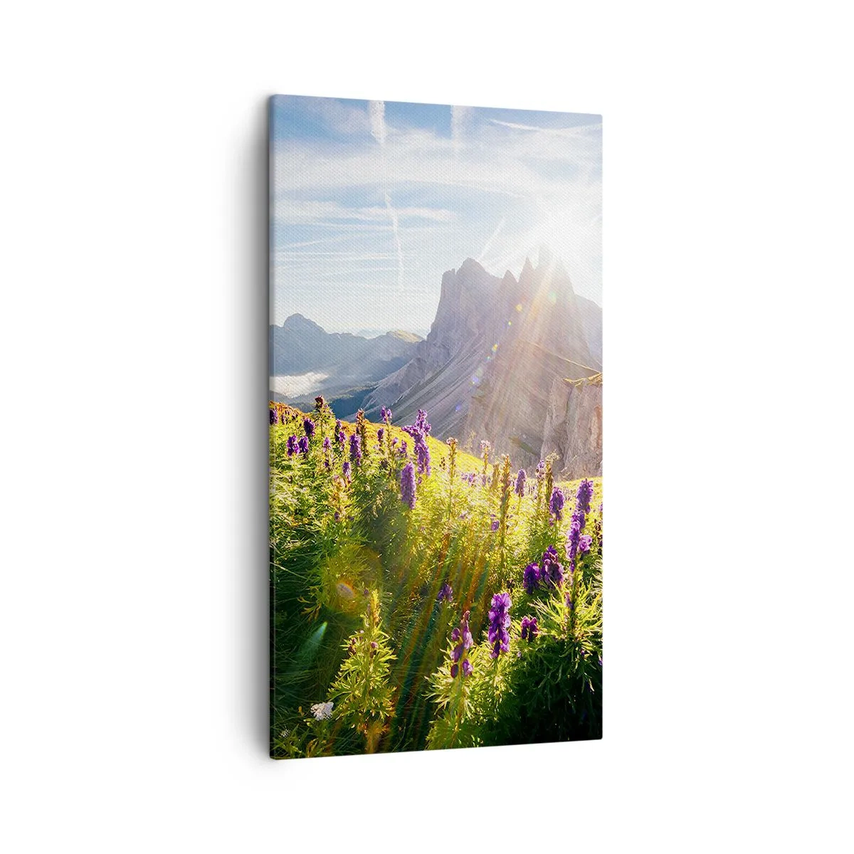 Quadro su tela - Stampe su Tela - La vita segreta delle erbe - 45x80 cm