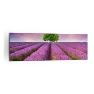 Quadro su tela - Stampe su Tela - Sui campi di lavanda - 160x50 cm