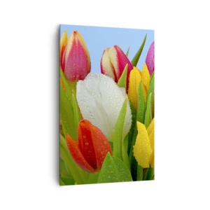 Quadro su tela - Stampe su Tela - Tulipani colorati ricoperti di gocce di rugiada su uno sfondo blu - 80x120cm - Fiori multicolori nella rugiada - Decorazione murale moderna per soggiorno e camera da letto ARTTOR