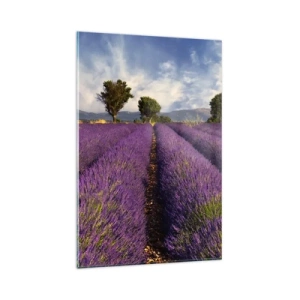 Quadro su vetro - Un campo di lavanda con alberi sullo sfondo di montagne e cielo - 80x120cm - Campi di lavanda - Decorazione murale moderna per soggiorno e camera da letto ARTTOR