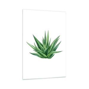 Quadro su vetro - Una pianta verde succosa su uno sfondo bianco - 70x100cm - Verde - forza - vita - Decorazione murale moderna per soggiorno e camera da letto ARTTOR