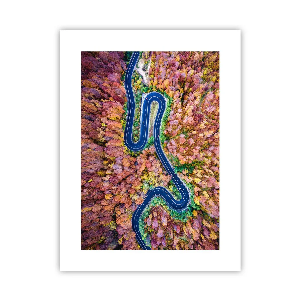 Poster - Via tortuosa attraverso il bosco - 30x40 cm