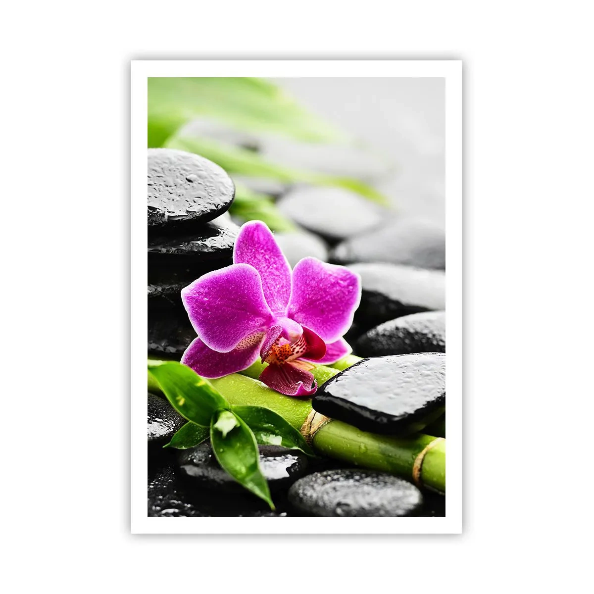 Poster - Un tranquillo equilibrio - 70x100 cm