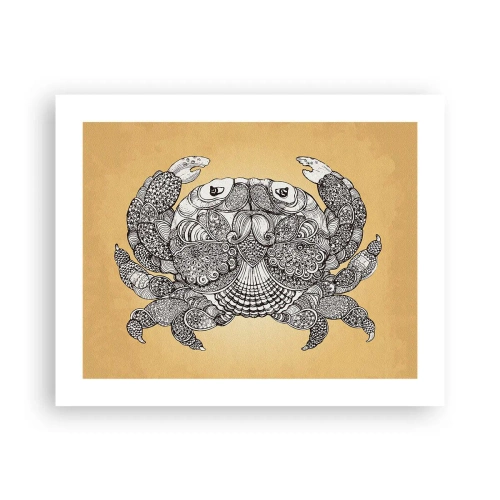 Poster - I racconti del granchio - 50x40 cm