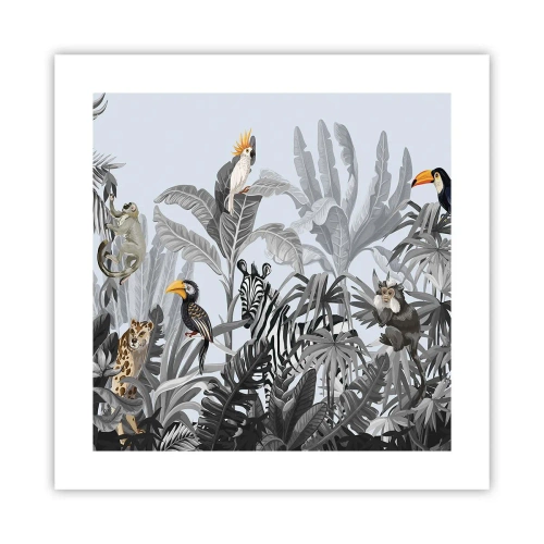 Poster - Favola africana - 40x40 cm
