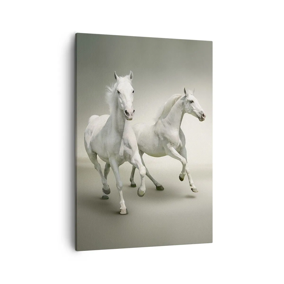 Quadro su tela - Stampe su Tela - Due cavalli bianchi al galoppo su uno sfondo chiaro - 50x70cm - White power! - Decorazione murale moderna per soggiorno e camera da letto ARTTOR