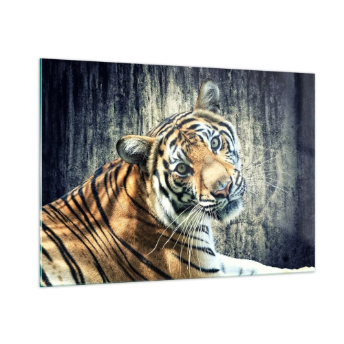 Quadro su vetro - Una tigre in posa naturale contro un muro grezzo - 100x70cm - Ritratto nei flussi di luce - Decorazione murale moderna per soggiorno e camera da letto ARTTOR