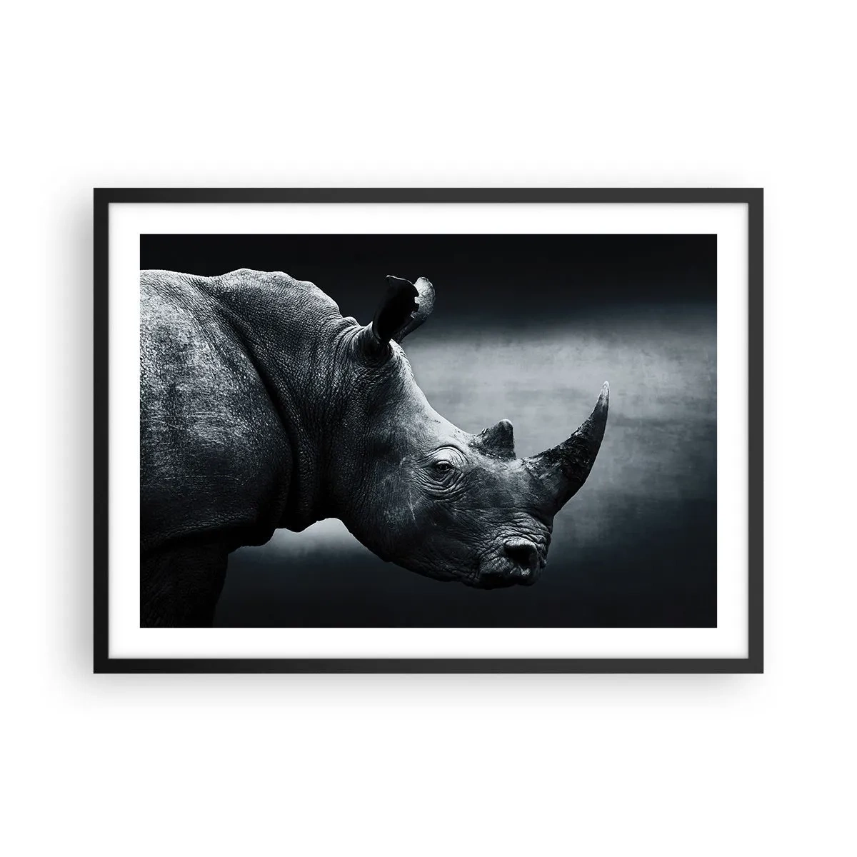 Poster in cornice nera - Ritratto in bianco e nero di un rinoceronte su sfondo scuro - 70x50cm - Profilo destro - Decorazione murale moderna per soggiorno e camera da letto ARTTOR