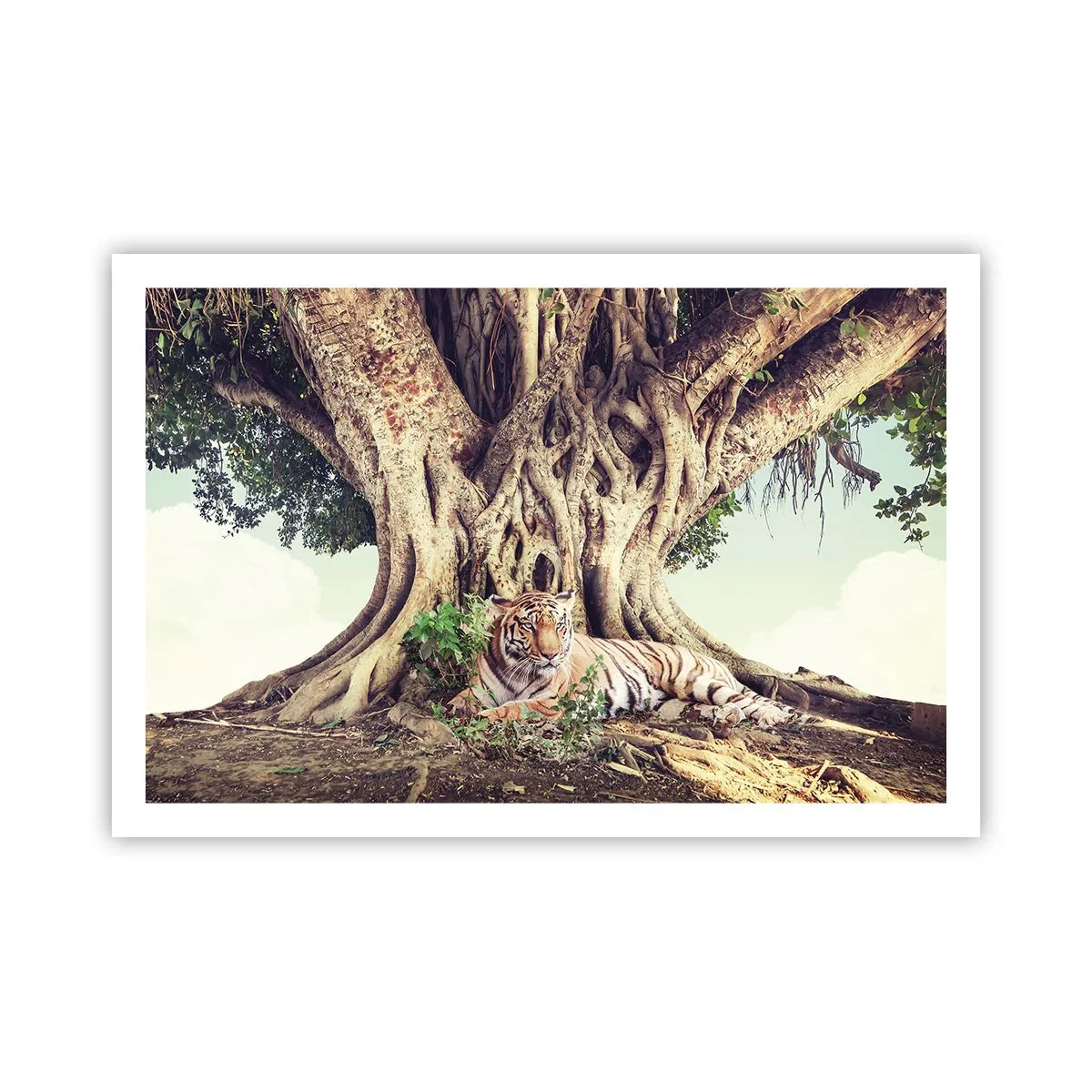 Poster - Vista dal Libro della Genesi - 91x61 cm