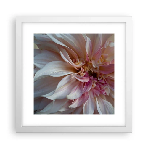Poster in cornice bianca - Freschezza in fiore - 30x30 cm