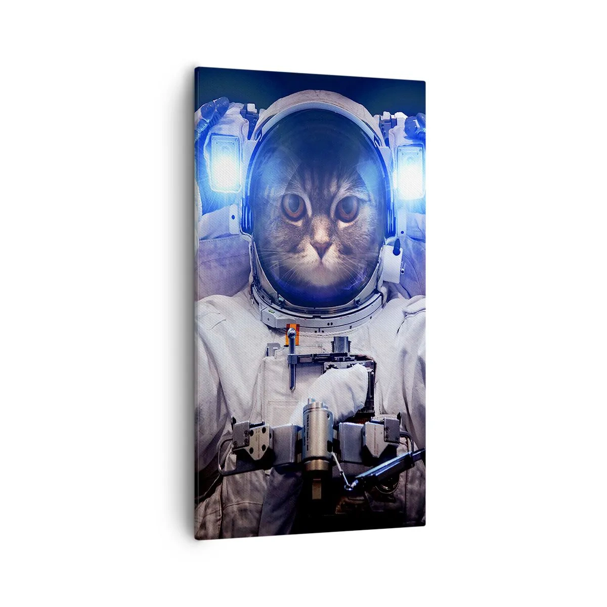 Quadro su tela - Stampe su Tela - Houston, avete un problema - 55x100 cm
