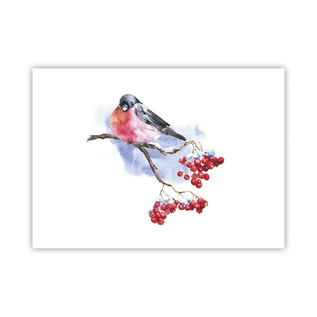 Poster - L'inverno a colori - 70x50 cm