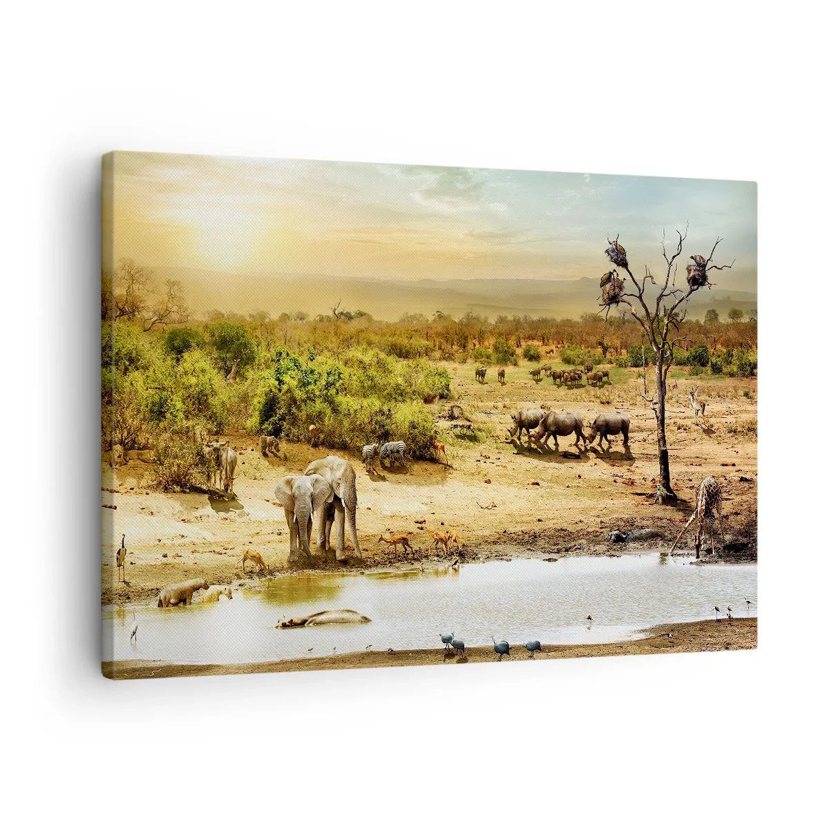Quadro su tela - Stampe su Tela - Elefanti e animali selvatici in una pozza d'acqua al tramonto - 70x50cm - "Un fiume usciva da Eden…" - Decorazione murale moderna per soggiorno e camera da letto ARTTOR