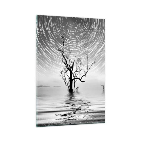 Quadro su vetro - Un albero nell'acqua sotto un cielo notturno con stelle in movimento - 80x120cm - Sinfonia della natura - Decorazione murale moderna per soggiorno e camera da letto ARTTOR