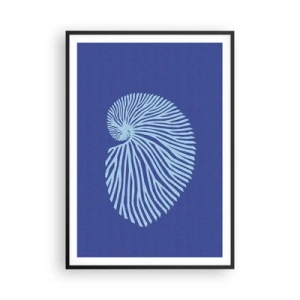 Poster in cornice nera - La nascita della conchiglia - 70x100 cm