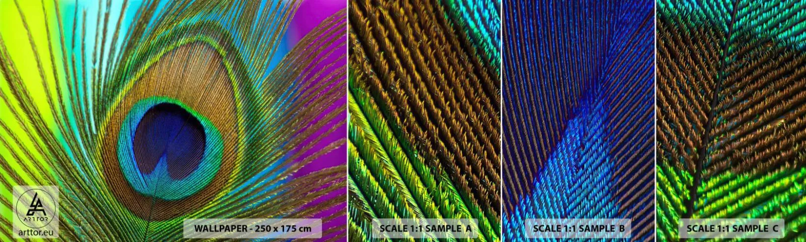 Campione di Fotomurale Adesivo Deluxe Sticker - Occhio nell'occhio - Astrazione, Piuma di pavone, Pezzo - 100x30 cm