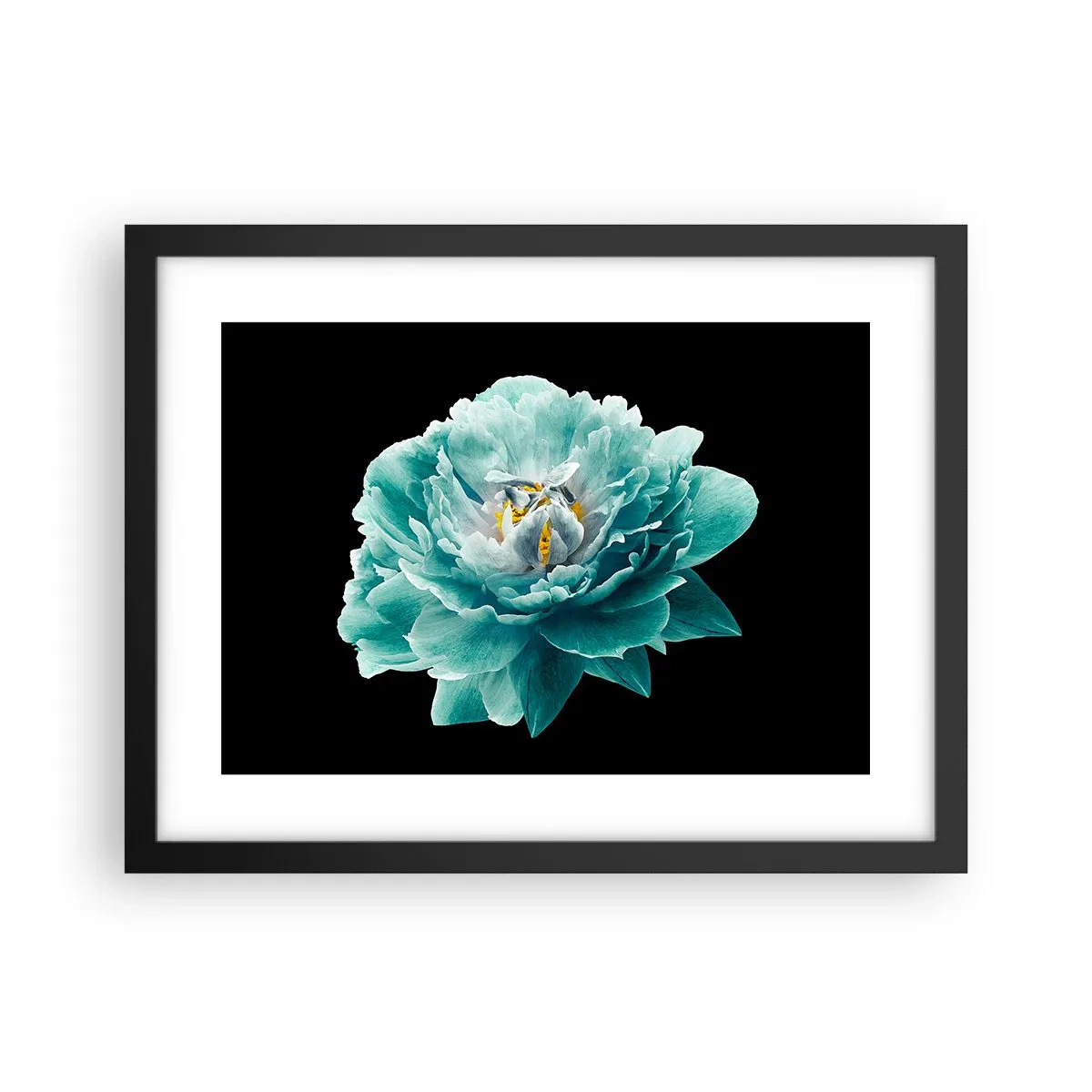 Poster in cornice nera - Petali blu e oro - 40x30 cm