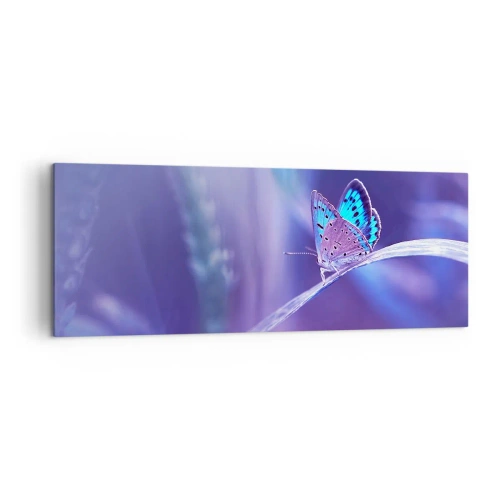 Quadro su tela - Stampe su Tela - Una delicata farfalla blu su uno stelo in luce viola - 140x50cm - Gioielli della natura - Decorazione murale moderna per soggiorno e camera da letto ARTTOR